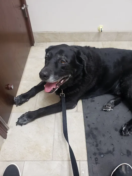 Maumee Valley Veterinary Clinic Picture 6