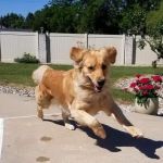 Woodburn Veterinary Clinic