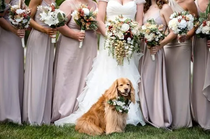 Woodburn Veterinary Clinic Picture 3