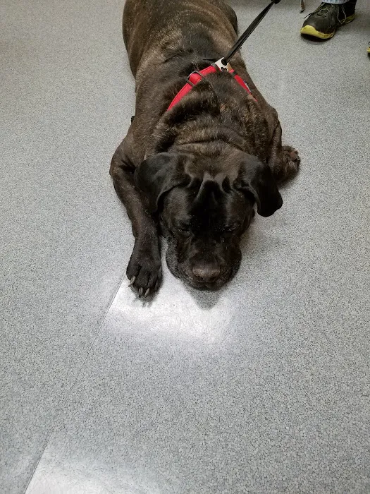 Defiance Veterinary Clinic Picture 5