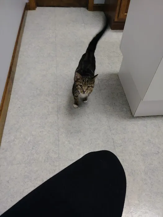 Defiance Veterinary Clinic Picture 2