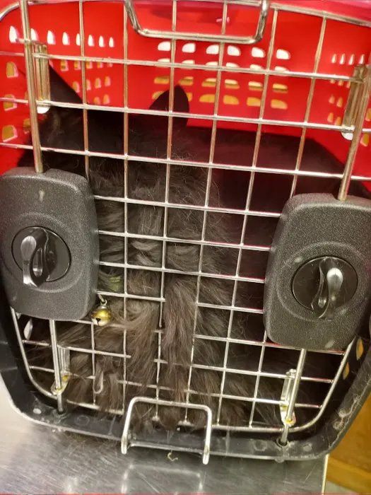 Defiance Veterinary Clinic Picture 6