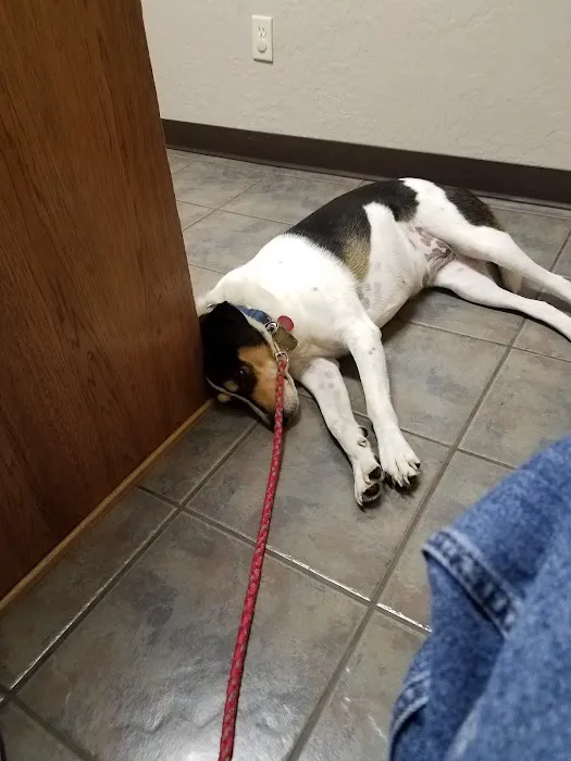 Grabill Veterinary Clinic Picture 6