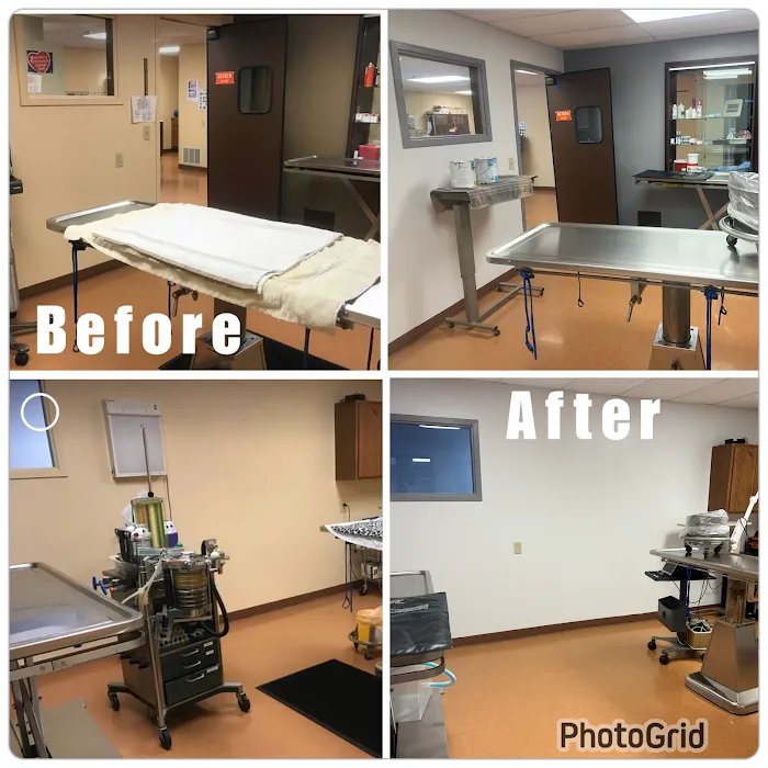 Family Vet Services Picture 9