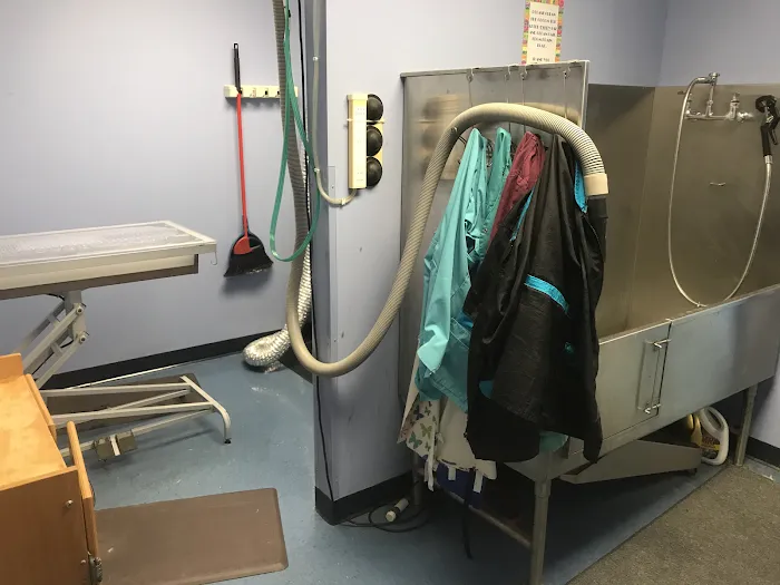 Family Vet Services Picture 7