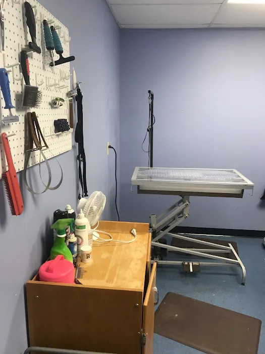 Family Vet Services Picture 10