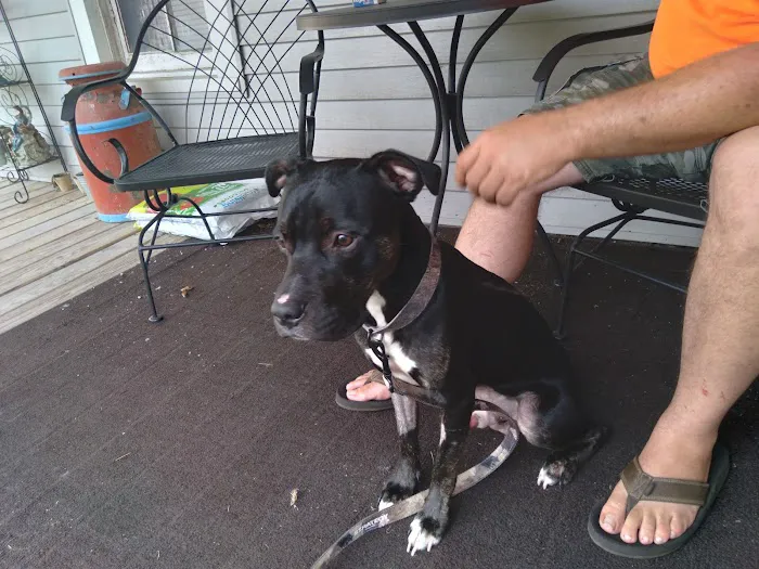 Coldwater Animal Clinic Picture 9