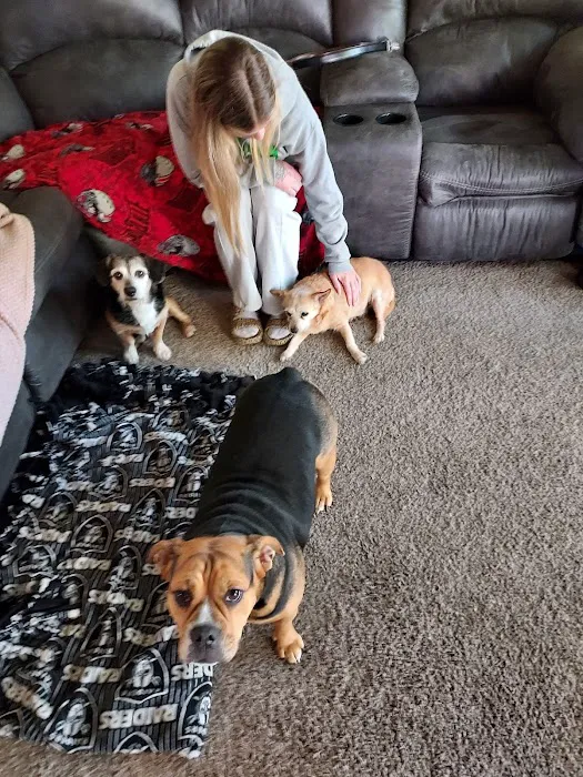 Coldwater Animal Clinic Picture 4