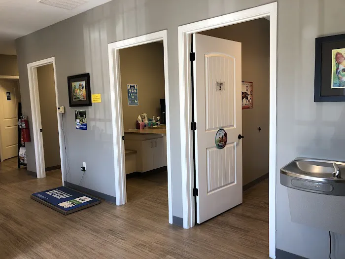 Foothills Veterinary Hospital - South Picture 3