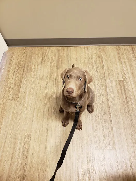 Foothills Veterinary Hospital - South Picture 6