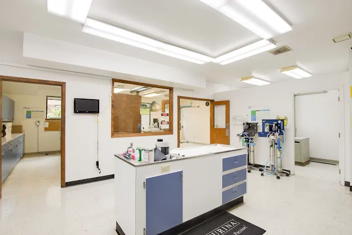 Midlands Veterinary Practice Picture 3