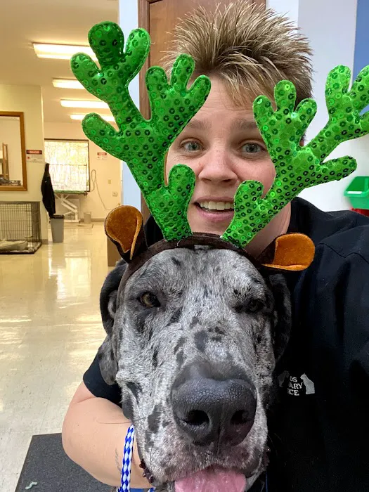 Midlands Veterinary Practice Picture 6