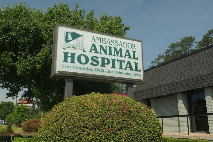 Ambassador Animal Hospital Picture 9