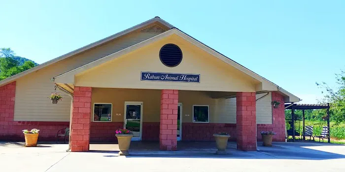 Rabun Animal Hospital Picture 5