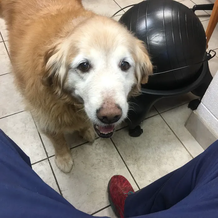 Rabun Animal Hospital Picture 3