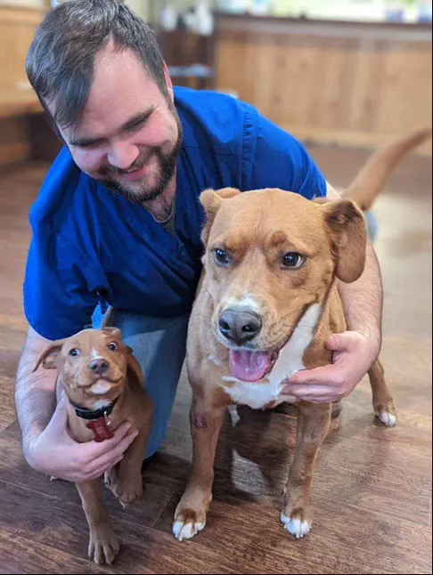 Clayton Veterinary Hospital Picture 4