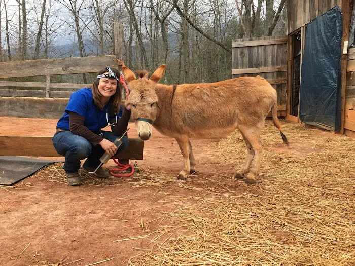 Whiskey River Large Animal Mobile Veterinary Services Picture 2
