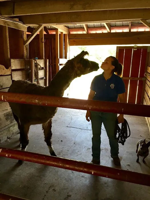 Whiskey River Large Animal Mobile Veterinary Services Picture 3