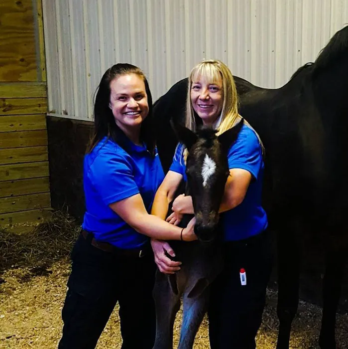 Whiskey River Large Animal Mobile Veterinary Services Picture 4