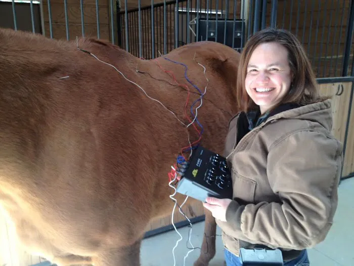 Whiskey River Large Animal Mobile Veterinary Services Picture 6