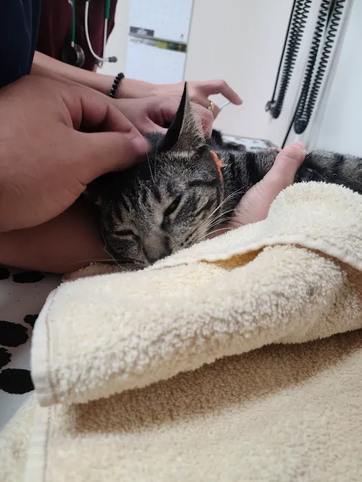 Cherokee Animal Care Clinic Picture 2