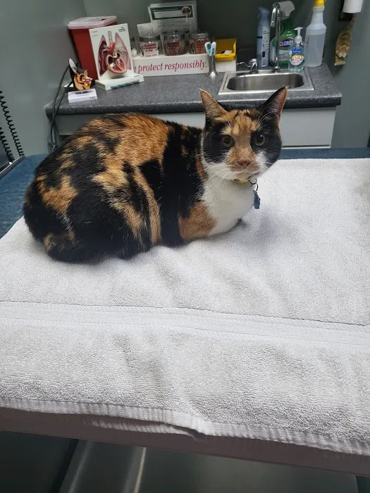 Green Valley Animal Hospital Picture 9