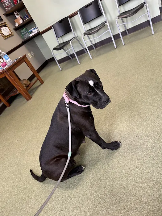 Green Valley Animal Hospital Picture 8