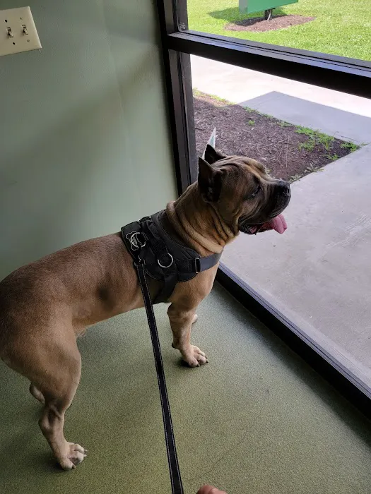 Green Valley Animal Hospital Picture 1