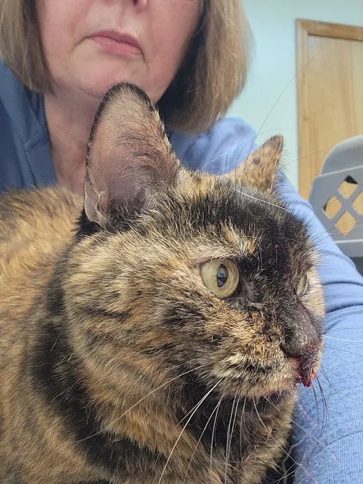 Animal Care Center Picture 8