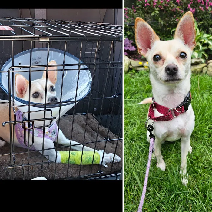 Animal Care Center Picture 5