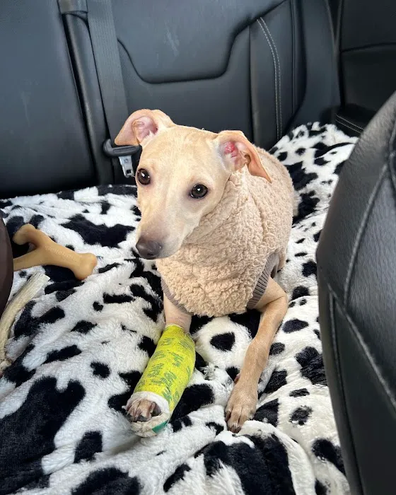 Animal Care Center Picture 4