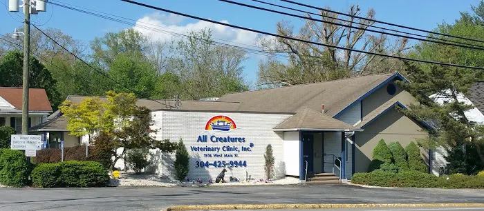 All Creatures Veterinary Clinic Inc Picture 5