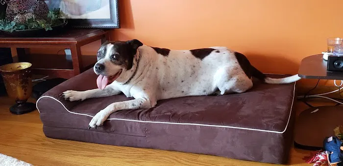 Happy Tails Veterinary Clinic Picture 10