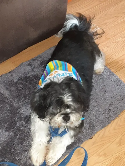 Happy Tails Veterinary Clinic Picture 4