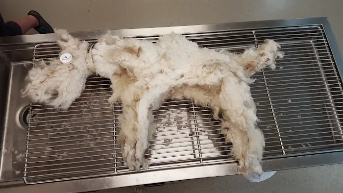 Burgaw Veterinary Hospital Picture 1