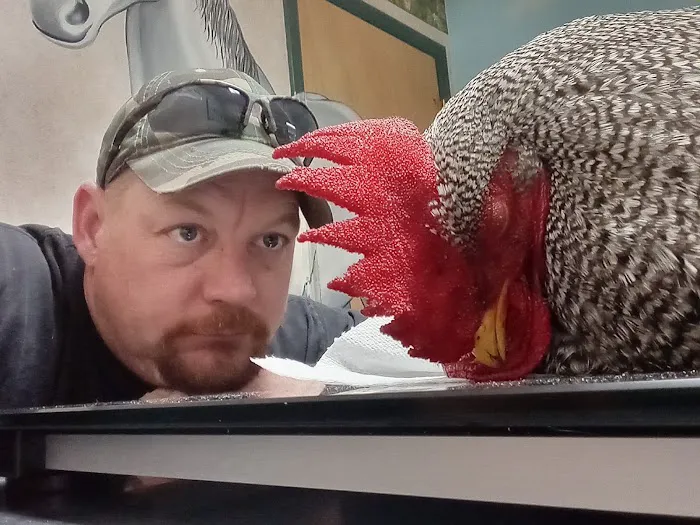 Healing Hands Animal Hospital Picture 3