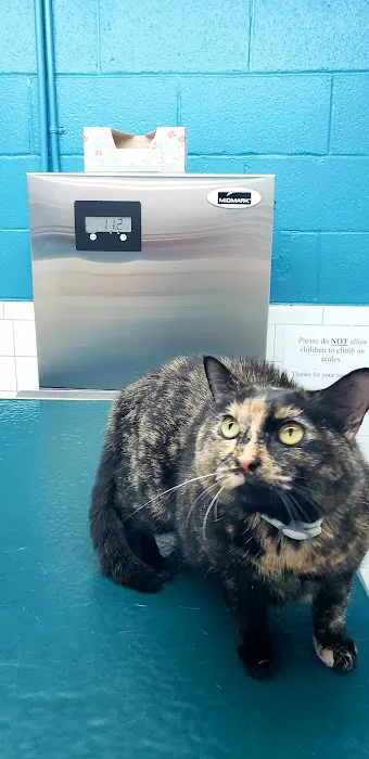 Academy Animal Hospital PA Picture 7