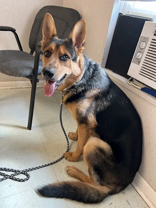 Coastal Veterinary Emergency Clinic Picture 4