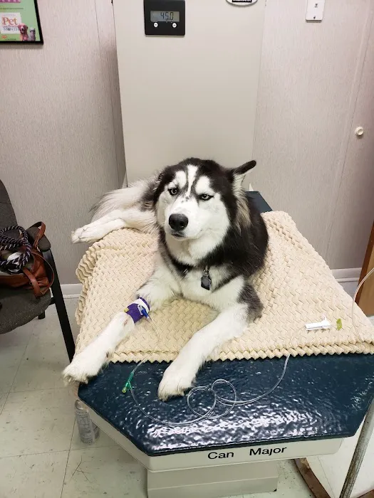 Coastal Veterinary Emergency Clinic Picture 6