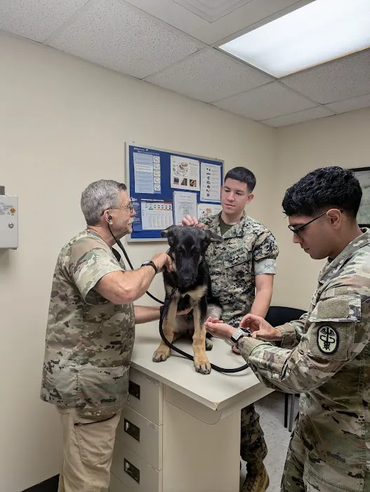 Camp Lejeune Veterinary Clinic Picture 7