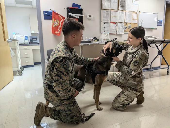 Camp Lejeune Veterinary Clinic Picture 9