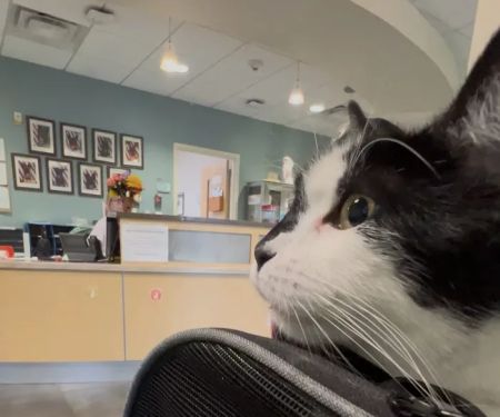 Langley Veterinary Clinic