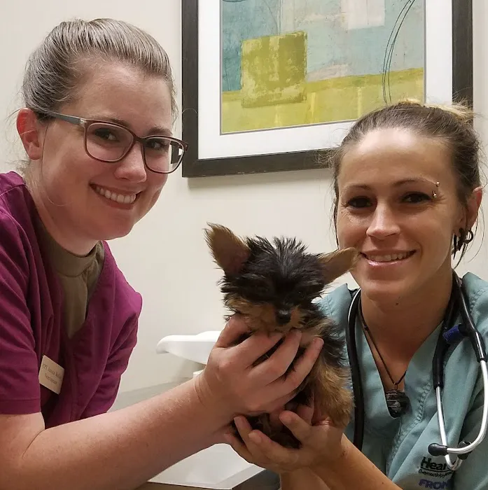 Langley Veterinary Clinic Picture 6