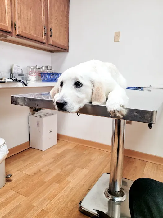 Mt Healthy Animal Hospital Picture 4