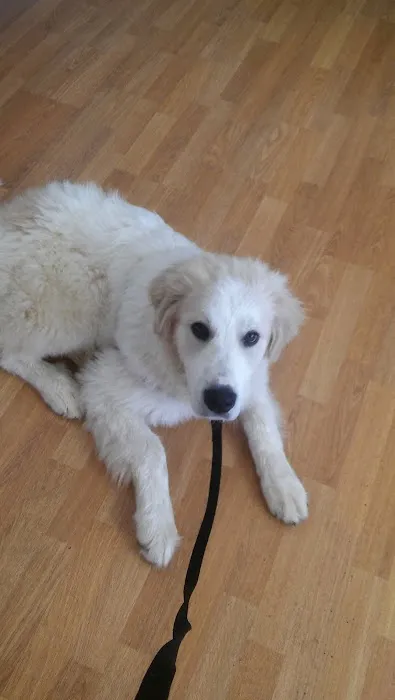 Mt Healthy Animal Hospital Picture 3