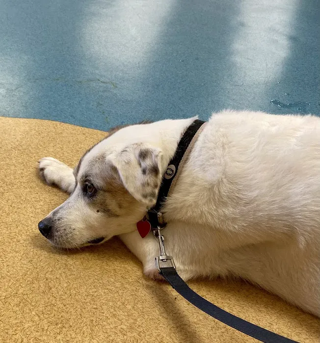 Noah's Ark Animal Clinic of Colerain Picture 9