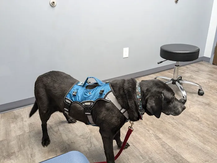 Monfort Heights Animal Clinic Picture 6