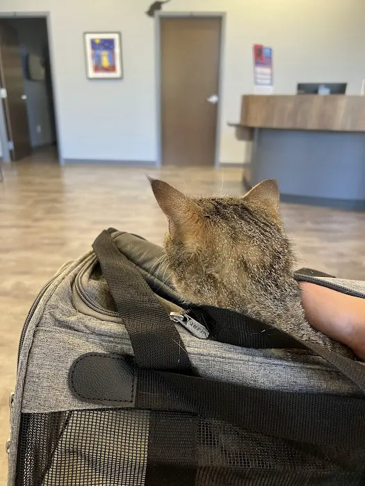 Monfort Heights Animal Clinic Picture 5