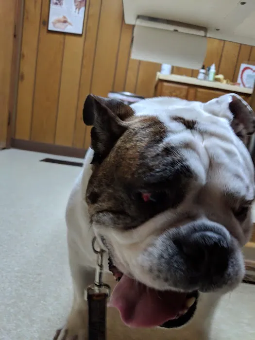 Monfort Heights Animal Clinic Picture 7
