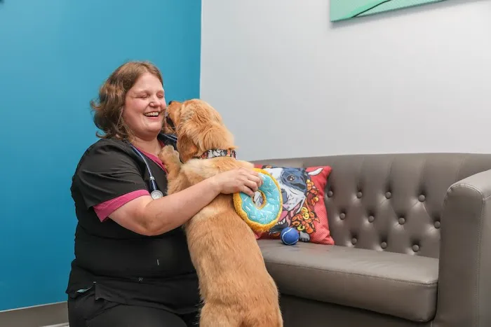 PetVet365 Pet Hospital Cincinnati / Colerain Picture 6